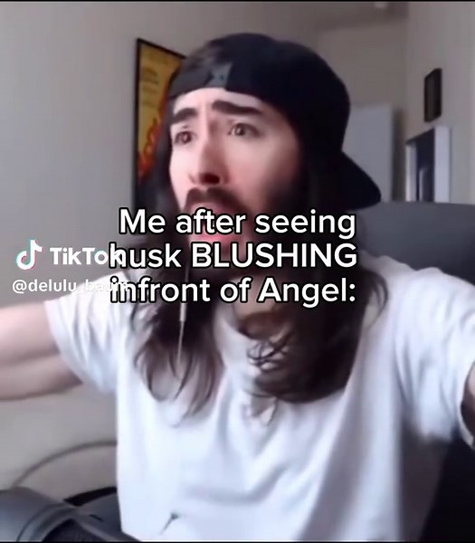 Hazbin Hotel Characters: Angel Dust and Husk's Love Story