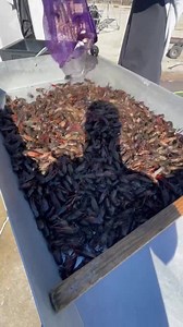 Our most watched video from last year. Prices were still at record...