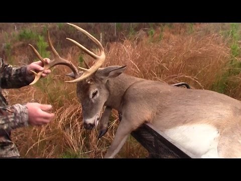 Youth Self Filmed Rifle Hunt!