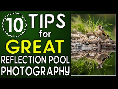 10 tips for getting GREAT Reflection Pool Photographs