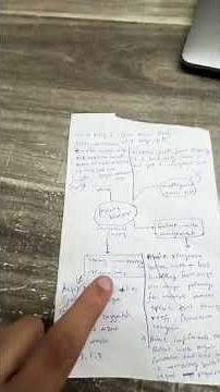 This is how my moderated caucus speech looks like!