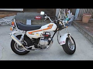 ノーティーダックス(CY50) 始動