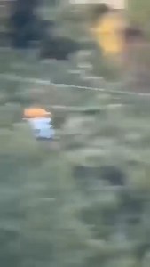 Zip line accident, Mexico