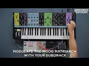 Moog Matriarch With Eurorack Drums, Extra Oscillator And Modulation