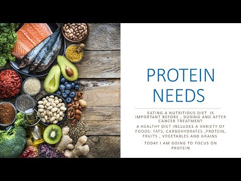 Hot Topics in Nutrition: Importance of Protein in Your Diet