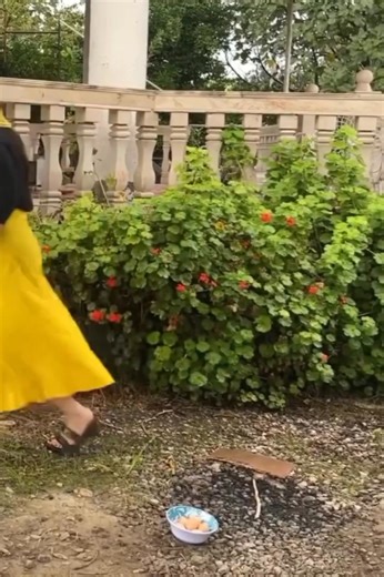 48K views · 2.4K reactions | #village #cooking #traditional #home #usa | Traditional Cooking | Facebook