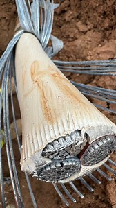 174K views · 188 reactions | Cutting through a 3core 309mm SWA cable...