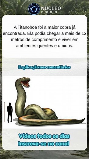 Titanoboa 🐍 #misterios #curiosidades #fatos #noticias