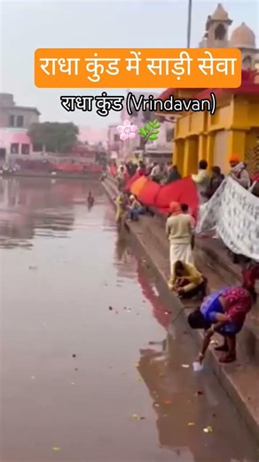 वृंदावन राधा कुंड कुंभ में साड़ी सेवा ❤️ | Radha Kund Saree Seva Vrindavan 🌿| #RadhaKund #Vrindavan