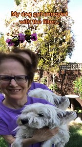 Toby is no too happy being featured in TikTok videos! 😆 🐶 😕#trendingfilter #loopme #joyblznartooni | Deborah Hyland