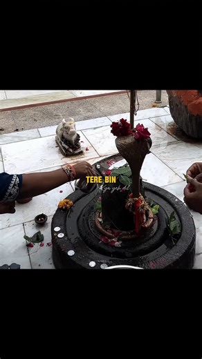 Shubham Pathak 🇮🇳 on Instagram: "क्या दिल धड़क पाएगा > 🥺🖤🤌🫀 . . . . . . . . . . #réel #mahadev #ujjain #kedarnath #bholenath #triyambakeshwar #2025"