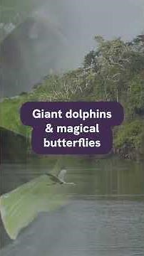 Amazing Amazon Forest Facts for Kids! #Knowzyatlas #AmazonRainforest #NatureFacts #AmazingNature