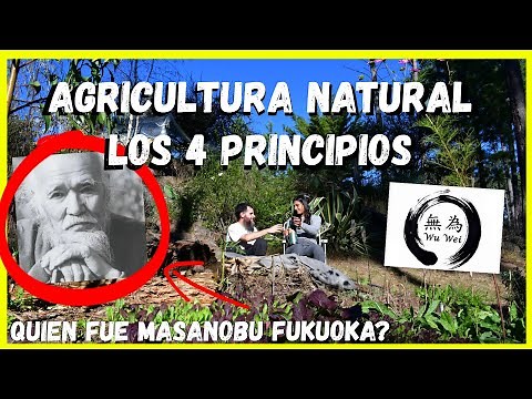 4 PRINCIPIOS de la AGRICULTURA NATURAL | Quien fue Masanobu Fukuoka?