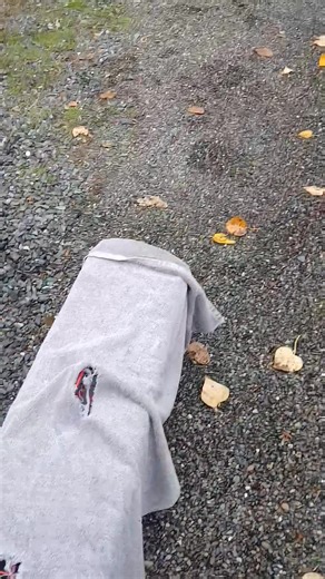 The best part of our week! Thank you to everyone who donated for more humane traps and towards cats getting fixed. Overpopulation breeds more that just new cats and kittens, it breeds suffering, neglect, cruelty, hoarding, disease, and death, BUT it doesn't have to be that way. Together we are changing that one cat and colony at a time with our partners in T-N-R Spay Neuter Northwest Your donations have a direct impact in local neighborhoods in real time. To help more and making a lasting positi