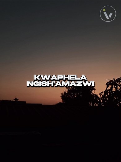 Immaculate Vibez on TikTok