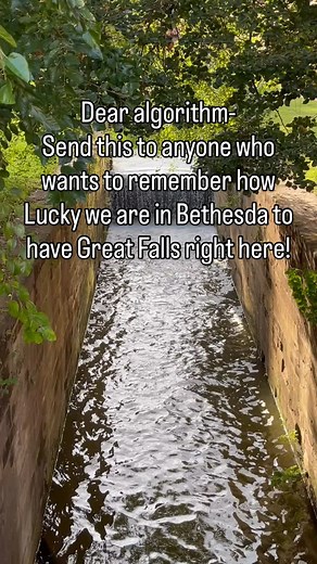 Lise Howe Group on Reels