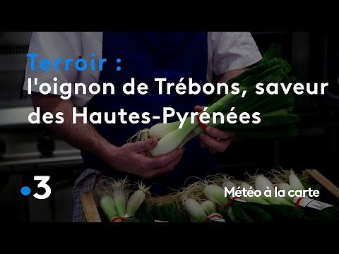 The Trébons onion, all the sweetness of the Hautes-Pyrénées - Weather forecast