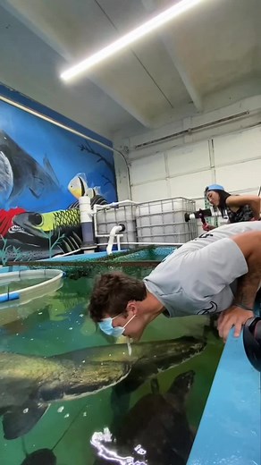 Hilarious Fish Moments That Will Make You Laugh