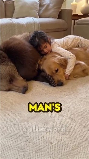 He saved a cub from a wolf, but what happened a year later left him speechless 🥹❤️