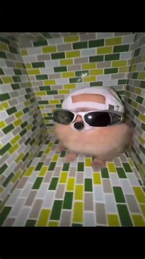 Towa x Cercel x Lucaawts - Rosu La Semafor #memes #shorts