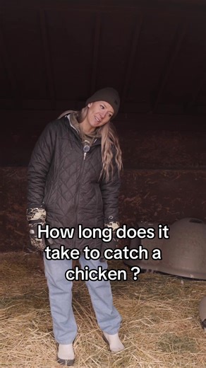 Catching a chicken a skill you may never fully master. But hey, that’s part of the fun! #chickencoop #backyardchickens