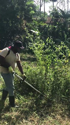 No Chance for Tall Grass! 💪🌿 Watch Grass Vanish Instantly! ⚡