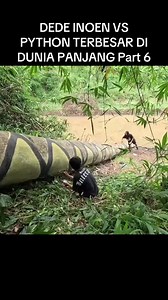 DEDE INOEN VS PYTHON TERBESAR DI DUNIA PANJANG Part 6#fypindonesia #foryoupage #indonesia🇮🇩 #viralindonesia