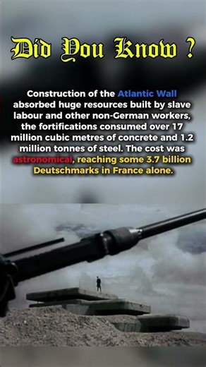 Construction of the atlantic wall was astronomical #ww2 #shorts