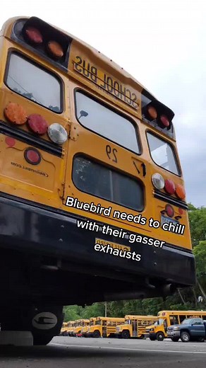 Bluebird Car Buses and Air Brakes - Solving Driver Shortage