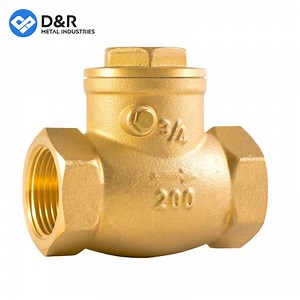 [Hot Item] High Quality Forged Brass DN20 Check Valve OEM Female Thread Control Water Non Return Valve