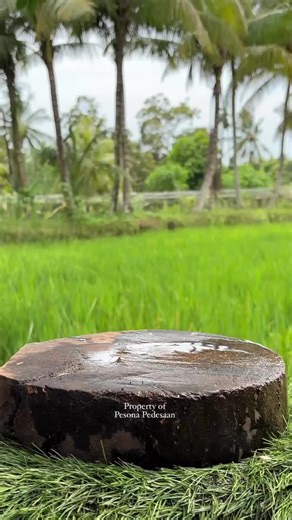 Exploring Nuclear Radiation and Coconut Cake Shapes