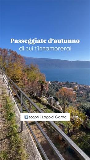 🍂 3 percorsi imperdibili da provare questo autunno sul Garda 1️⃣ Valvestino – uno dei foliage più belli mai visti. Partendo da Cima Rest, il percorso verso Malga Tombea attraversa boschi di faggi che cambiano colore a ogni passo. Una passeggiata che sembra uscita da un dipinto. 2️⃣ Gargnano, Parco dell’Alto Garda – il sentiero verso Monte Denervo regala panorami incredibili, alternando viste mozzafiato sui boschi e sul lago. Non dimenticate una tappa a Cima Comer, spettacolare in ogni stagione.