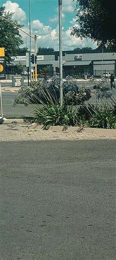 Discover the Performance of the BMW 325i