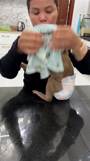 Emma Does Not Want To Wearing Cloth #baby #monkey #Babymonkey | Monkey Harry's Family