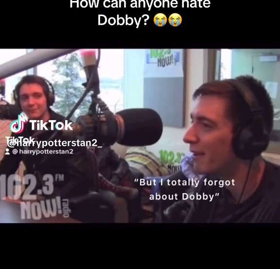 Remembering Dobby: An Emotional Tribute