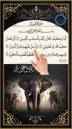 Surah Al Fil beautiful Quran recitation #quranrecitation #egzonibrahimi