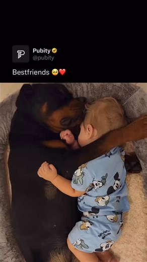 Pubity on Instagram: "🥰 Few sights are as heartwarming as a dog and baby sleeping side by side. Their peaceful rest captures pure innocence and trust — two souls connected without words. The dog’s gentle watchfulness and the baby’s quiet comfort create a scene that radiates love and safety. Moments like this remind us that companionship can transcend species, showing how affection and protection can exist in the softest, most silent ways. Ryan Wyatt via ViralHog • #family"