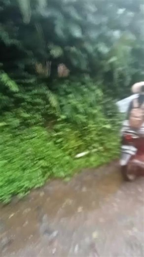 #fyp perjalanan menuju pondok halimun dari purbawati jalan rusak