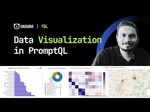 Preview of Data Visualization in PromptQL