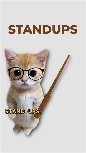 coding.kitty | Standups, explained by cats. #coding #standup #software #scrum #project | Instagram