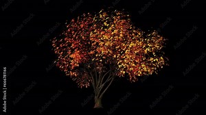 Windy Autumn Tree - Fall Yellow Leaves - 3D Animation Loop - Alpha Channel