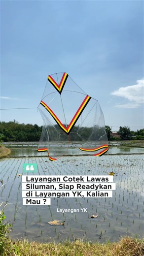 Layangan Cotek Lawas Transparan Siap