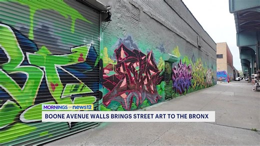 Boone Avenue Walls lights up the Bronx through art