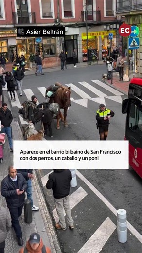 Un hombre aparece en el barrio bilbaíno de San Francisco con un caballo y un poni 🐴 Por momentos parecía que el barrio bilbaíno de San Francisco estaba teniendo su propia cabalgata de Reyes Magos. Con un caballo y un poni en vez de camellos -aunque la ley de protección animal y el sentido común los han sacado de los desfiles- y con cortes de tráfico. Eso sí, no estaban Melchor, Gaspar y Baltasar, sino un hombre que iba también acompañado de un par de perros 🎥 Asier Beltrán 📲 Comparte este víd