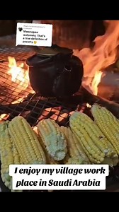 2.1K views · 44 reactions | I enjoy my village work place in Saudi Arabia | Mum Keynesian | Facebook