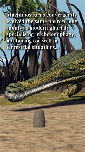 PRIOR EXTINCTION | Machimosaurus