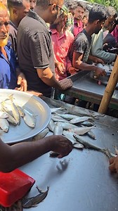 107K views · 562 reactions | River Hilsha Fishes #fishinglife | Fishing around me | Facebook