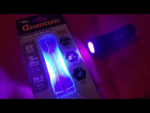 Harbor Freight Quantum UV Flashlight Review