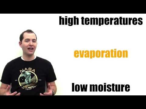 Soil Formation