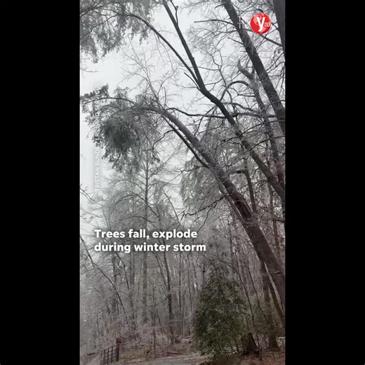 Trees ‘exploding’ across US as Arctic blast freezes nation Extreme cold, ice and heavy snow sweeping much of the US cause rare frost cracks in tree trunks, triggering sudden splits and falling branches that sound like gunshots and have gone viral online *** An intense Arctic cold wave has covered nearly two-thirds of the U.S. over the past week, bringing temperatures as low as minus 30 degrees Celsius in some areas and snowfall measuring dozens of centimeters. The severe weather has caused wides